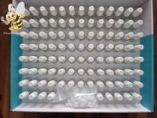 NEU Pinselflasche 20ml 100 Stück Farbstift Lackstift ausbessern Flasche Top #521