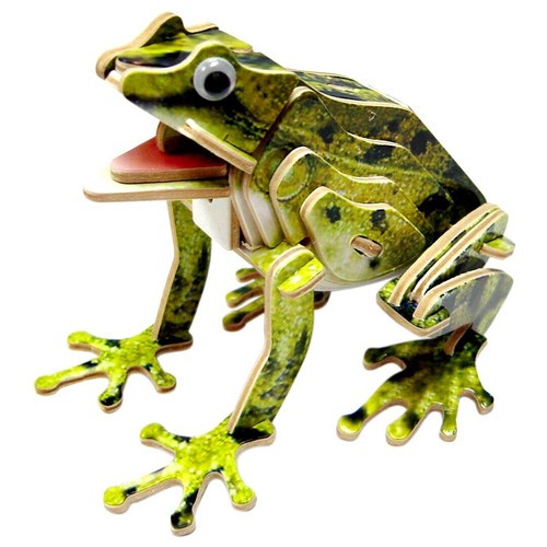 Frosch farbig 3d - -,