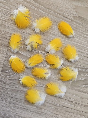 Gelbe vogelfedern - 15, 💛