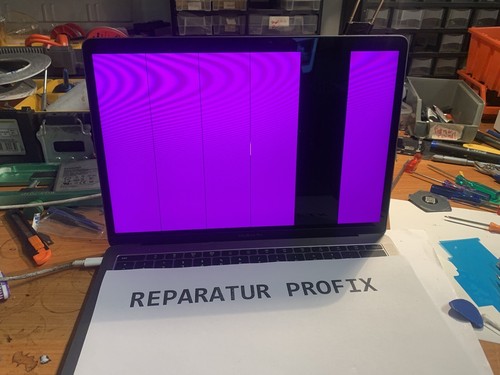 Reparatur macbook dustgate - reparatur,