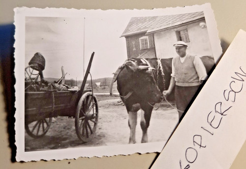 Altes foto vintage - altes,
