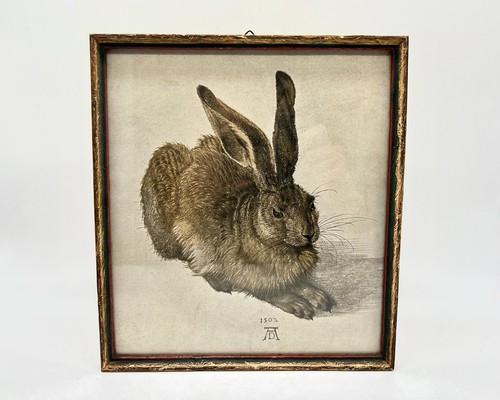 Alte kunstgrafik hase von - kunstgrafik,