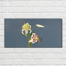 Glasbilder Wandbild Druck auf