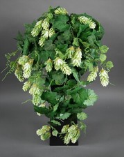 Hopfenranke 65cm PM