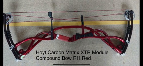 Hoyt carbon matrix - carbon, –