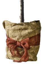 Windhager jute winterschutz - jute,