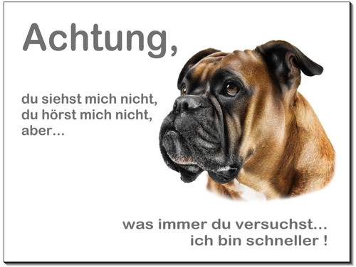 Boxer-Hund-Aluminium-Schild--3