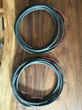 Einstein Greenline Vivace 2x