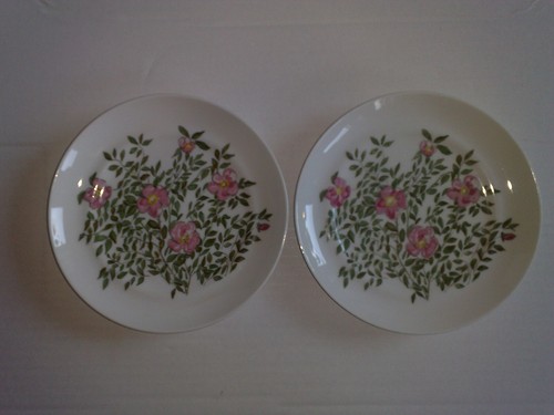 Hutschenreuther tavola - tavola, 2x
