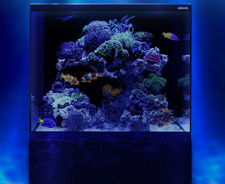 (998,00€/Stk.) Aquael Glossy Set Marine 60x58x50cm inkl. Unterschrank Meerwasser