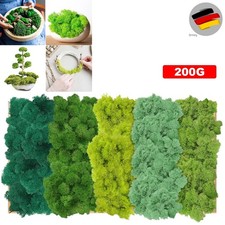 Islandmoos 5 Farben