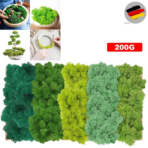 Islandmoos farben - islandmoos,