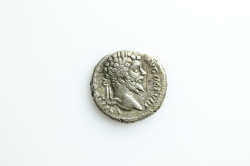 Plautilla venvs victrix - plautilla,