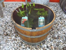 110L MINITEICH PFLANZKÜBEL