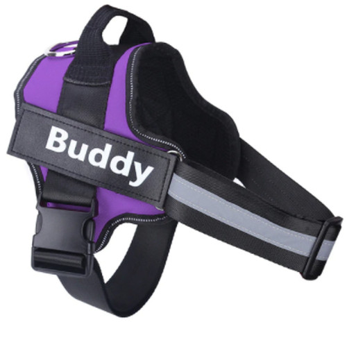 Hundegeschirr personalisiert