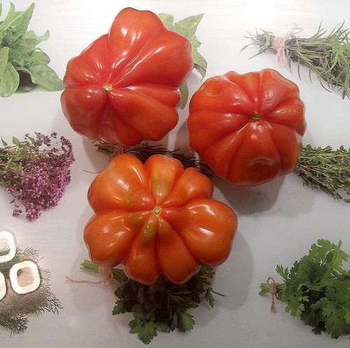Italienische ochsenherz tomate - italienische, ochsenherz-tomate