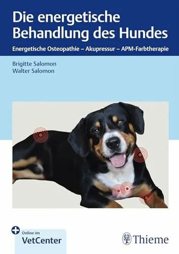 Die energetische behandlung - energetische,