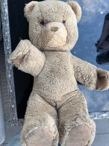 Steiff teddy und - 2x,