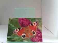 3D Ansichtskarten/Postkarten