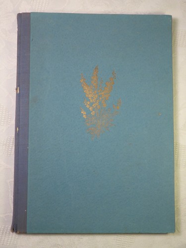 Blauer schatz der - schatz, karl