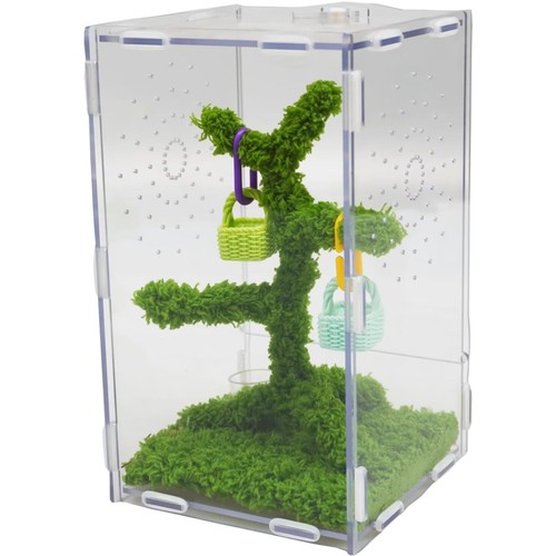 Springspinnen acryl terrarium - springspinnen,