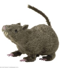 Haarige Ratte 21 cm -