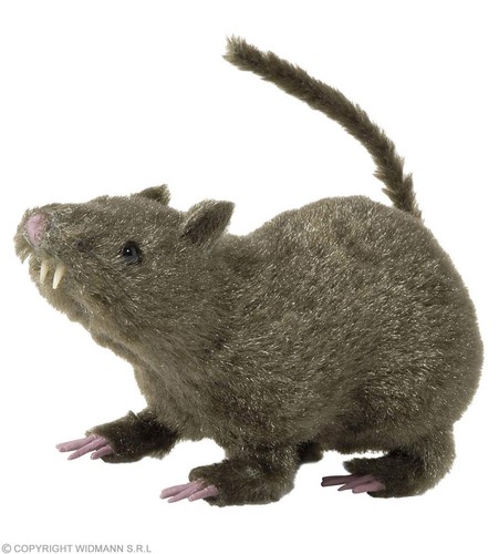 Haarige ratte - haarige, cm