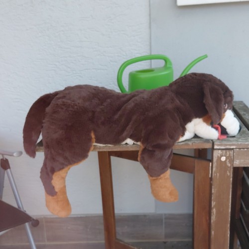 Brauner stoff tier - hund, 90cm