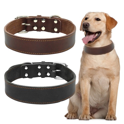Echtleder hundehalsband - echtleder,