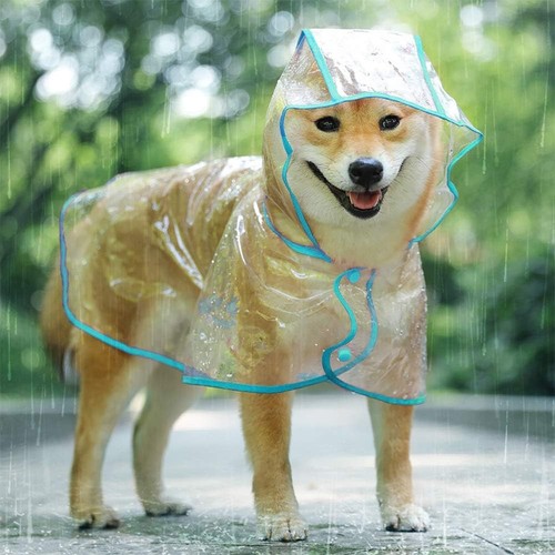 Hundekatze regenmantel pvc - hundekatze,