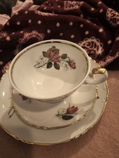 Johann Seltmann Vohenstrauss Porzellan Sammeltgasse Echtgold Goldrand