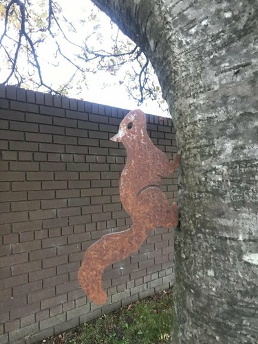 Rostrot eichhörnchen metall - eichhörnchen,
