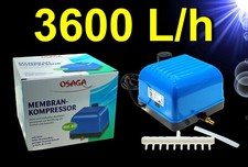 Aquarium Teich Deko 🐠