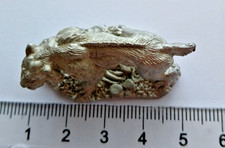 Säbelzahntiger, DSA, D&D