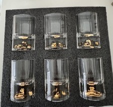 6 Shotgläser Schnapsgläser