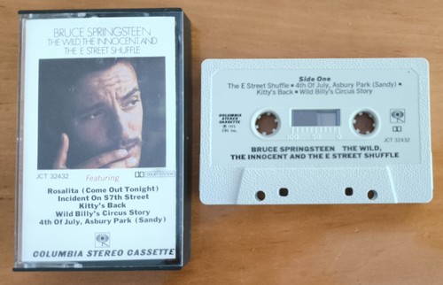 Bruce springsteen the wild - bruce,