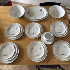 Rosenthal Continental China Raymond Loewy Jet Rose Tafelservice für 6 (23 P)