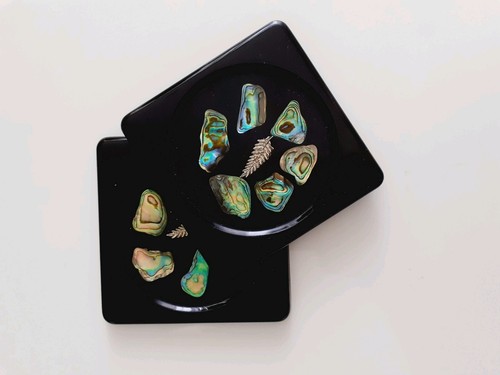 Paar vintage neuseeland paua - 2,