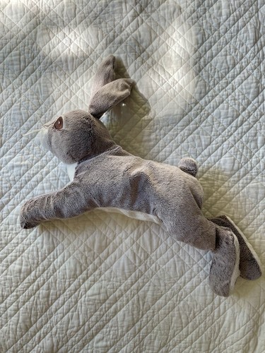 Ikea hase vandring hare - vandring,