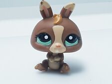 Diverse Littlest Pet Shop