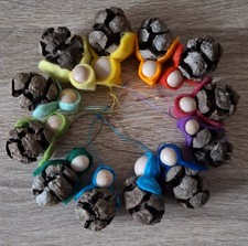 10  Zypressen Zapfen Wichtel Zwerg Waldorf Jahreszeitentisch bunt