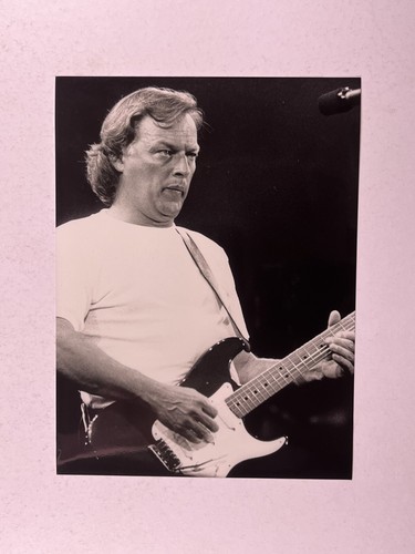 David gilmour photo pink - david,