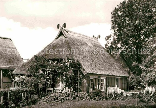 Zingst ostseebad reetdachhaus - zingst,