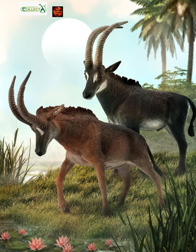 Riesen zobel antilope - riesen,