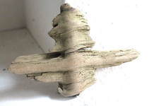 Schwemmholz Treibholz Skulptur