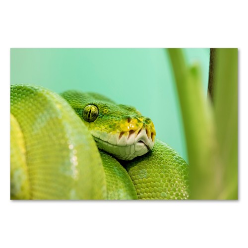Postereck 2964 poster leinwand - 2964,