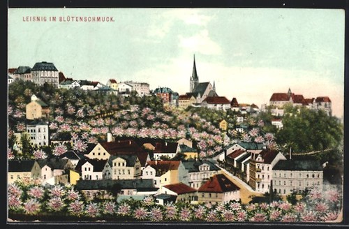 Leisnig teilansicht mit - leisnig,,