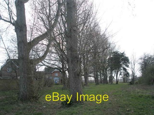 Foto 6x4 bäume zwischen - foto,