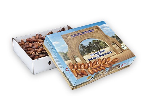 Zweigdatteln deglet nour - nour,