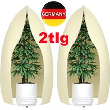 2 Stück Set XXL Pflanzen